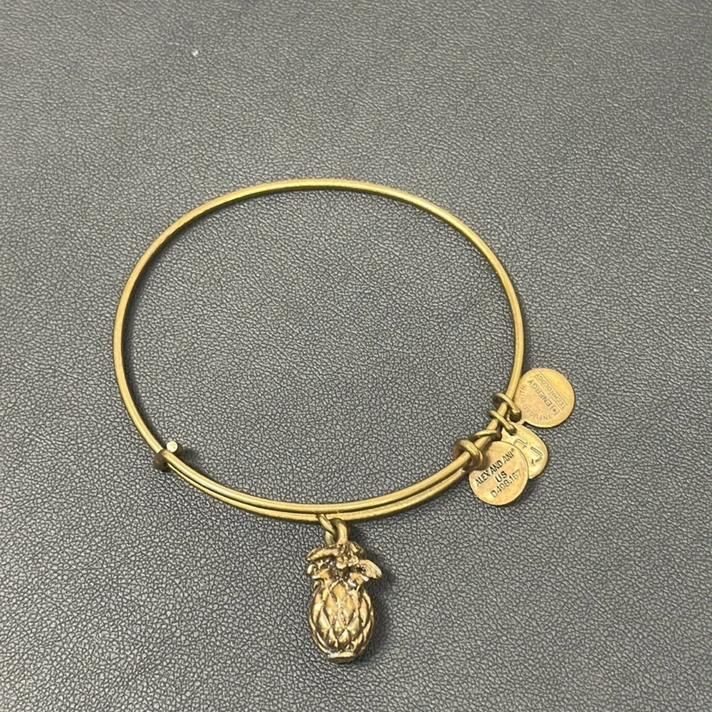 Your Pick – Alex & Ani Gold Charm Bracelets | Boho Spiritual Jewelry - Picture 11 of 12